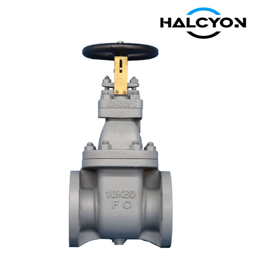 JIS 10K Cast Iron Gate valve